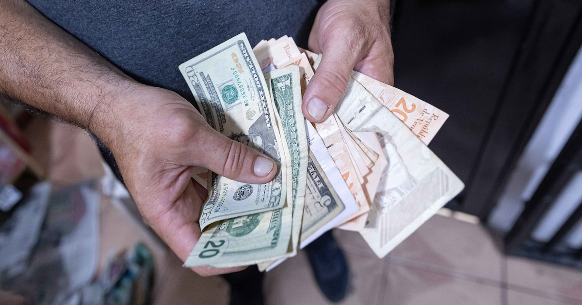 Crisis cambiaria en Venezuela: el dólar alcanzó los 51,3 bolívares en el mercado oficial y agudiza la caída de la moneda local Crisis cambiaria en Venezuela: el dólar alcanzó los 51,3 bolívares en el mercado oficial y agudiza la caída de la moneda local