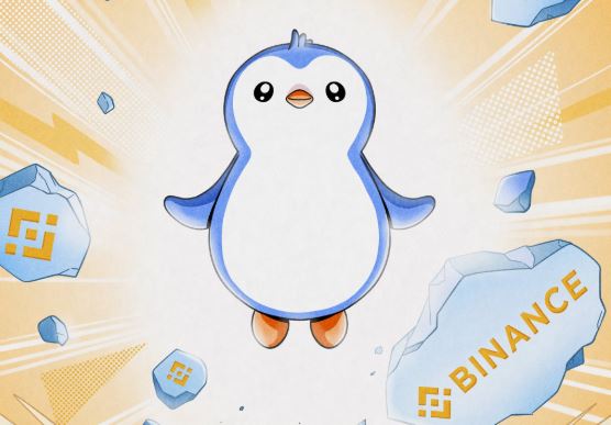 Se lanza la criptomoneda PENGU en Binance y su precio sube más de 500% Se lanza la criptomoneda PENGU en Binance y su precio sube más de 500%