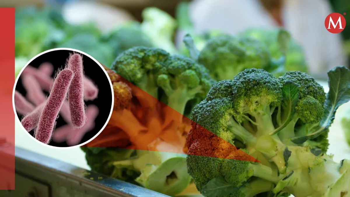 Alertan en EU por Brócoli de Braga Fresh contaminado con bacteria- Grupo Milenio Alertan en EU por Brócoli de Braga Fresh contaminado con bacteria- Grupo Milenio